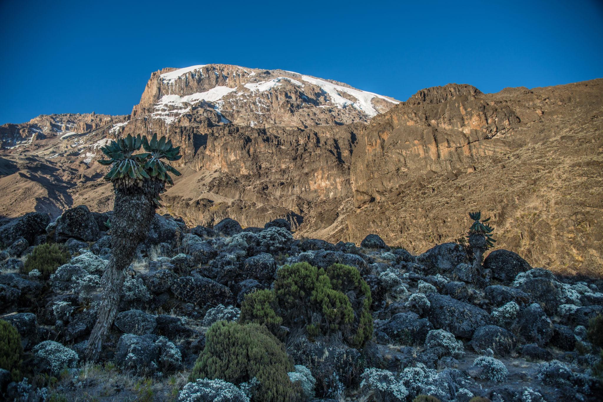 Snow-capped mountain rising above open moorland with low green shrubs and rocky terrain beneath a bright blue sky streaked with white clouds.